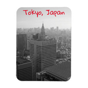 Tokyo skyline magnet