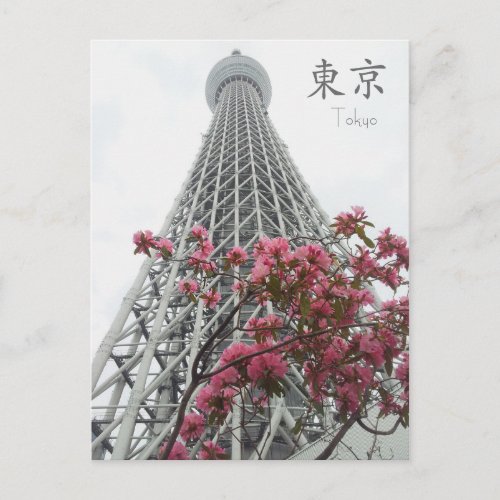 Tokyo Skytree Dream Factory Postcard