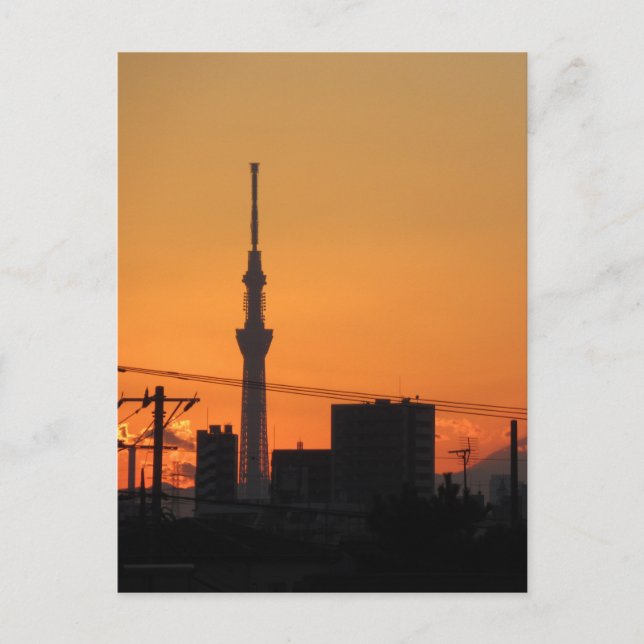 Tokyo Skytree Sunset Postcard (Front)