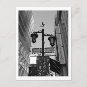 Tokyo Streetlights: Ginza Postcard