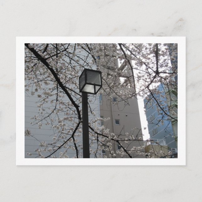 Tokyo Streetlights: Yushima Postcard (Front)