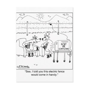 Told You the Electric Fence Would be Handy Postcard