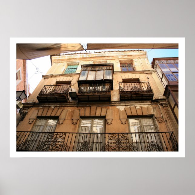 Toledano Architectural Detail Poster (Front)
