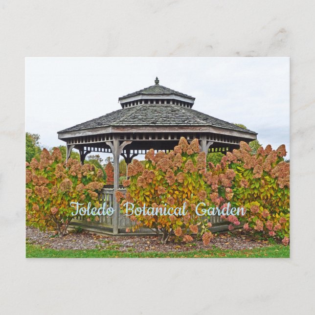 TOLEDO BOTANICAL GARDEN GAZEBO WITH HYDRANGEAS POSTCARD (Front)