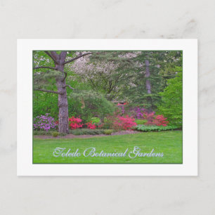 TOLEDO BOTANICAL GARDENS, SPRING, POSTCARD