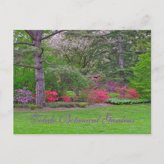 TOLEDO BOTANICAL GARDENS, SPRING, POSTCARD (Front)
