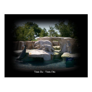 toledo zoo gifts on