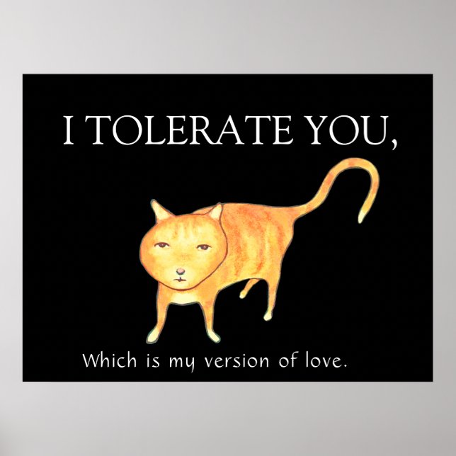 Tolerant Apathetic Orange Cat Poster (Front)