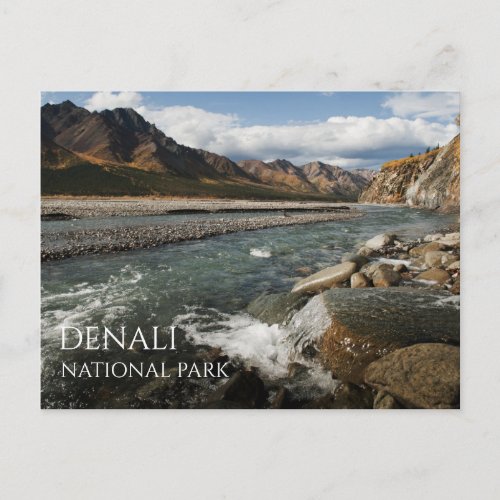 Tolkat River Denali National Park Alaska Postcard