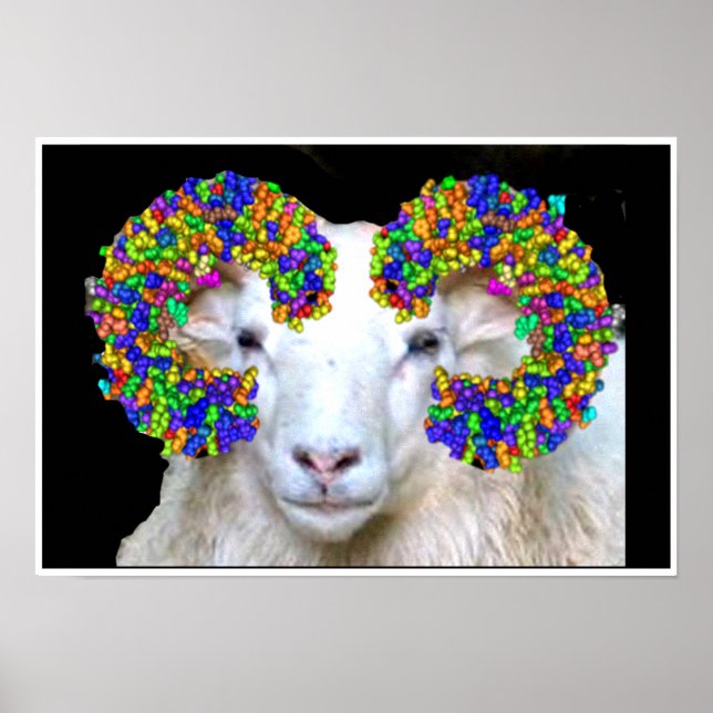 Toll-like Ram Poster (Front)