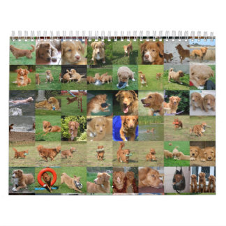 Toller Calendar