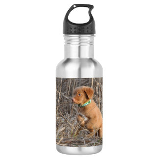 Toller puppy Water Bottle, Stainless Steel, 18 oz Stainless Steel Water Bottle