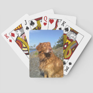 toller wet poker cards