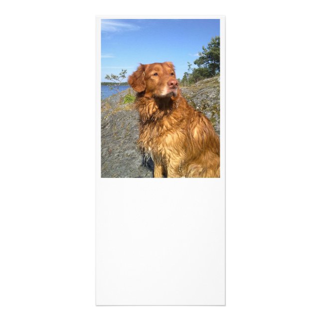 toller wet rack card (Front)