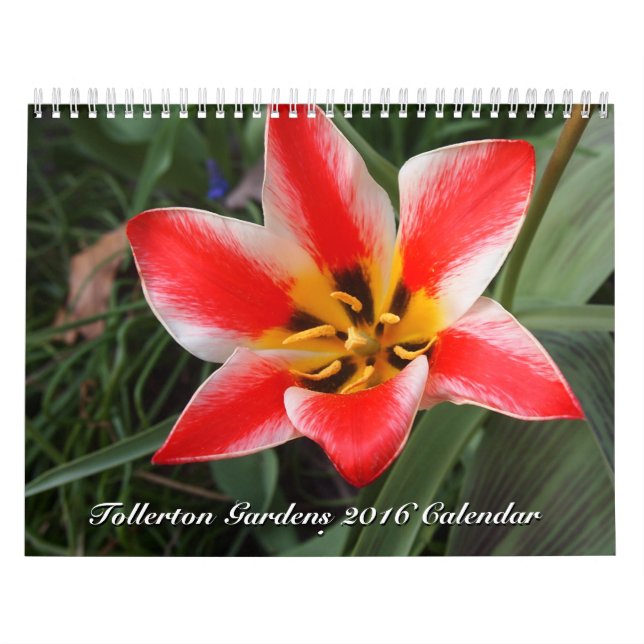 Tollerton Gardens 2016 Calendar (Cover)