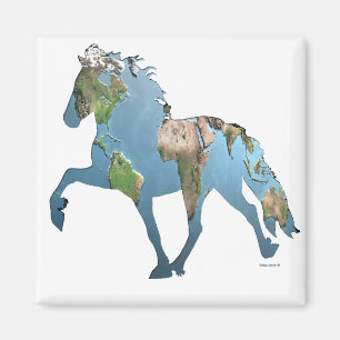 Tolting the World Magnet