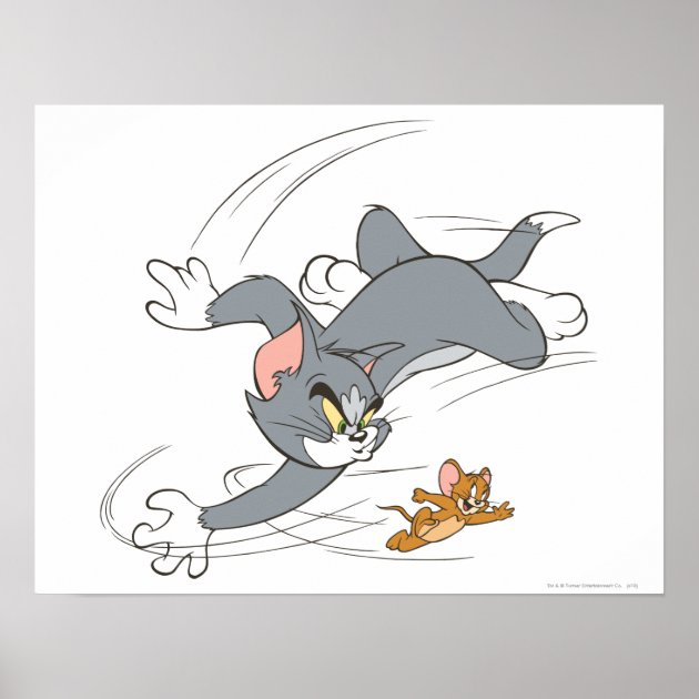tom and jerry chase tom and jerry chase