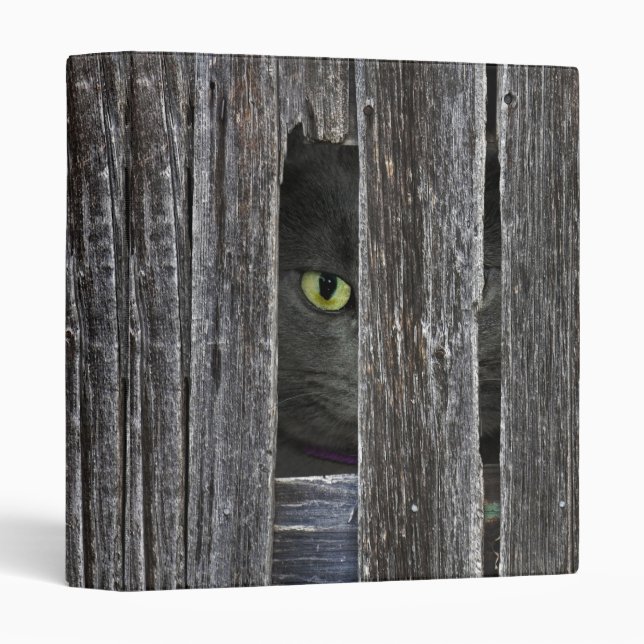 Tom Cat Binder (Front/Spine)