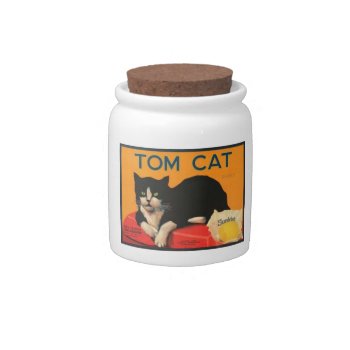 Tom Cat Jar by beatrice63 at Zazzle