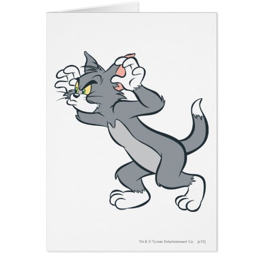 Tom Ready Cards (Front)
