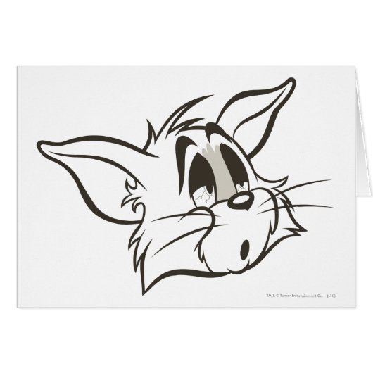 Tom Sleepy Cat Cards (Front Horizontal)