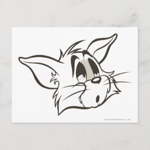 Tom Sleepy Cat Postcard