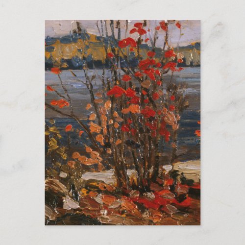  Tom Thomson Painting Lake and Red Tree Ontario  P Postcard