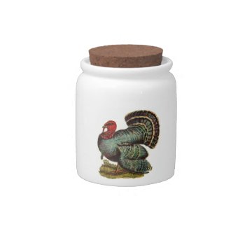 Tom Turkey Candy Jar by walkandbark at Zazzle