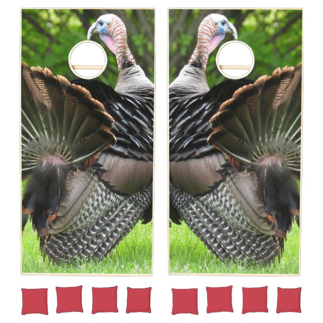 Tom Turkey Displaying Feathers Cornhole Set (Set)