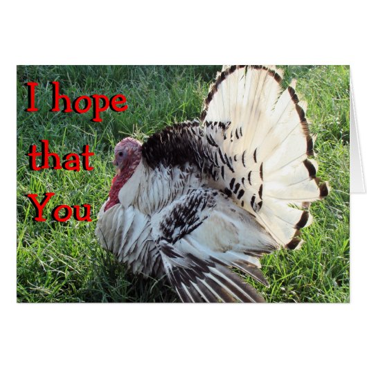 Tom Turkey fanned-customize any occasion (Front Horizontal)