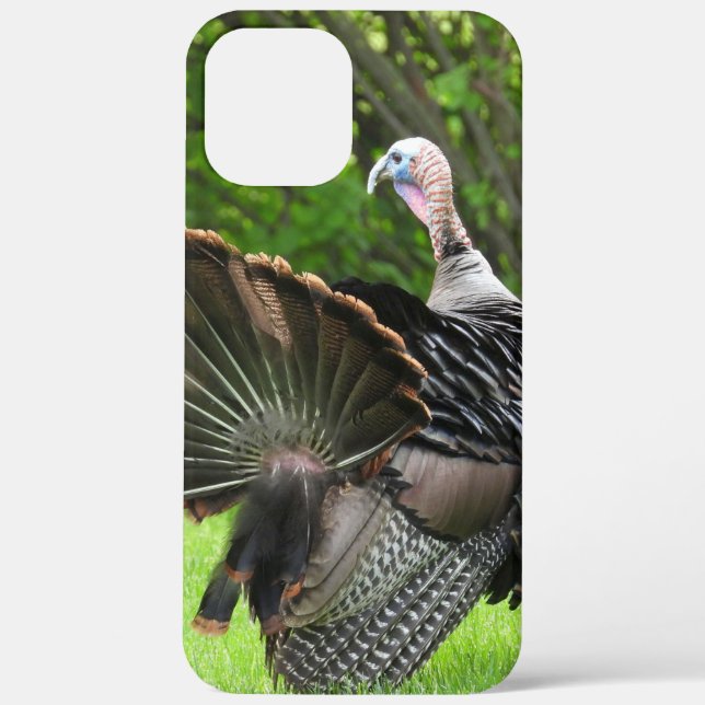 Tom Turkey Feather Display  Case-Mate iPhone Case (Back)