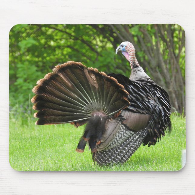 Tom Turkey Feather Display  Mouse Pad (Front)