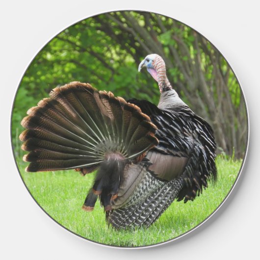 Tom Turkey Model Wireless Charger (Front)