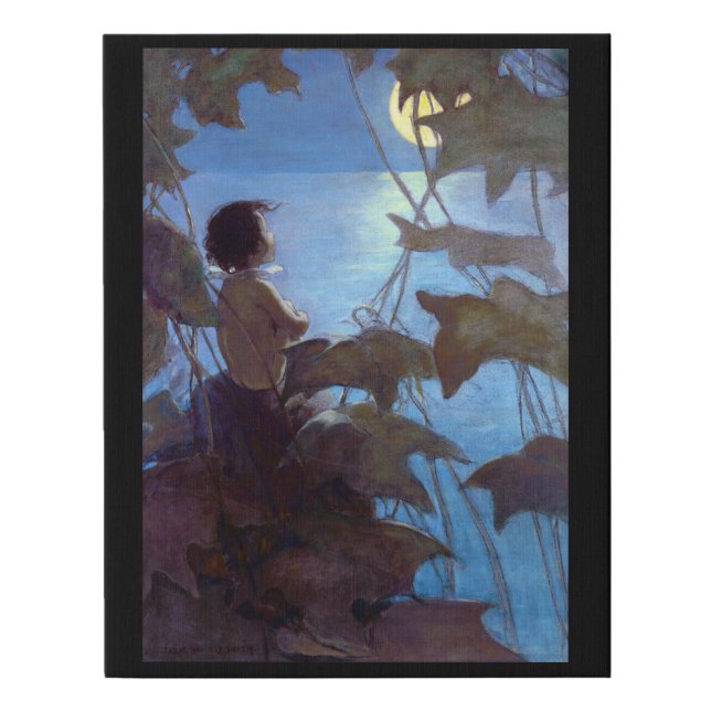 Tom Watching the Moon, Jessie Willcox Smith Faux Canvas Print (Front)