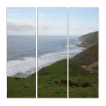 Tomales Point at Point Reyes National Seashore Triptych