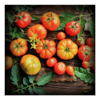 Tomato background poster