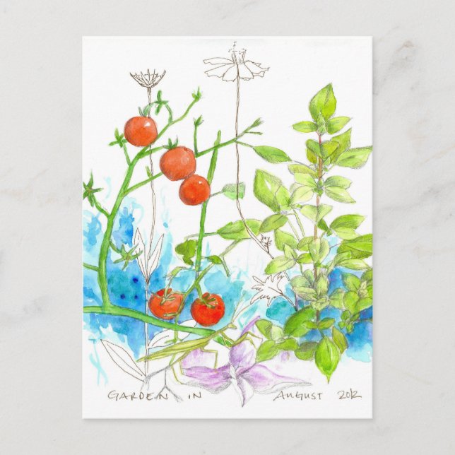 Tomato Basil Garden Praying Mantis Art Postcard (Front)