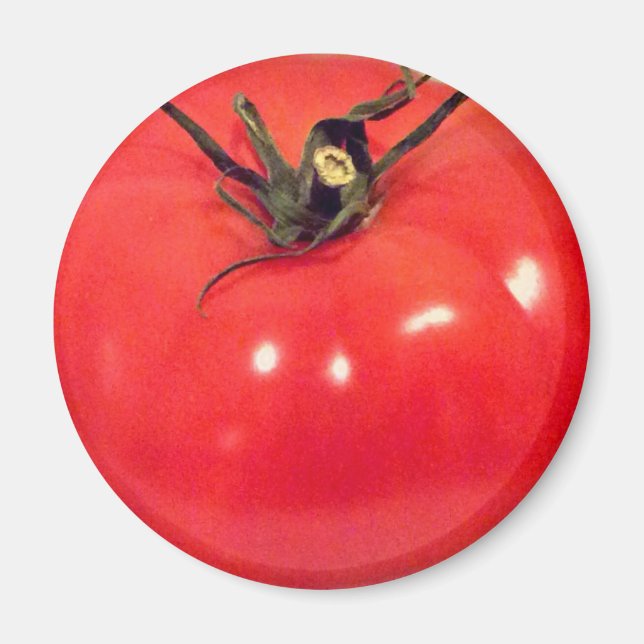 Tomato Beefsteak 4Marco Magnet (Front)