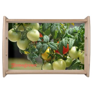 Tomato Blossoms and Ripening Tomatoes Wood