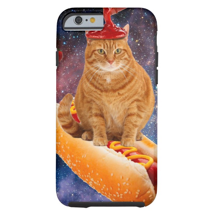 hot dog cats