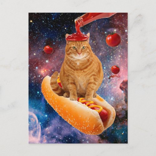 Tomato cat - hot dog cat - catchup - cute kittens postcard