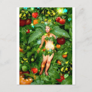 Tomato Fairy Postcard