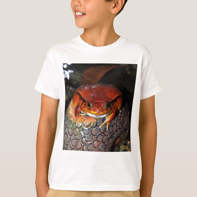Tomato frog T-Shirt (Front)