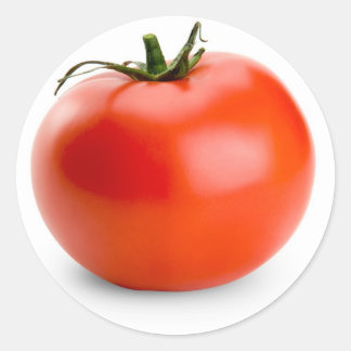 tomato garden fruit classic round sticker