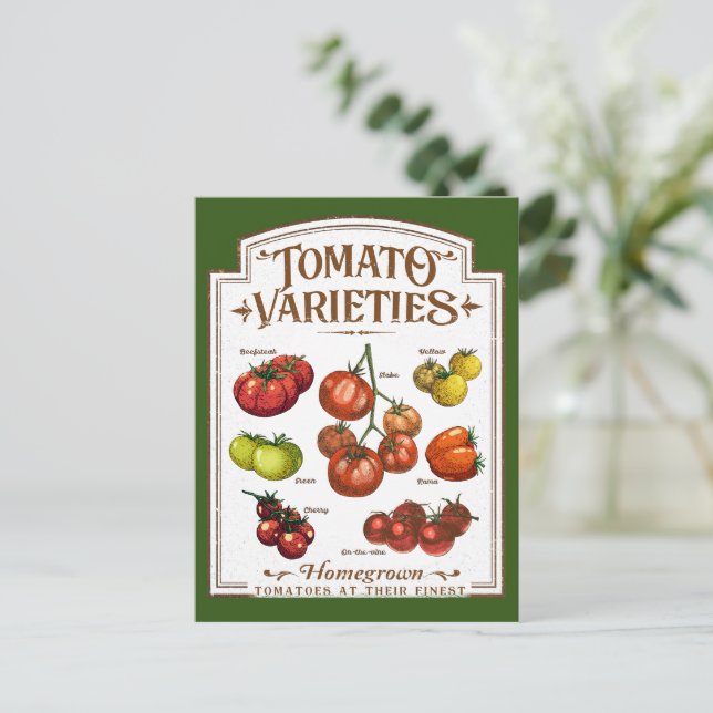Tomato Gardener, Vegetable Tomatoes Gardening Postcard (Standing Front)