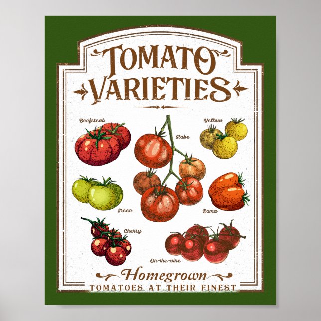 Tomato Gardener, Vegetable Tomatoes Gardening Poster (Front)