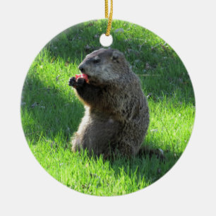 Tomato Groundhog Ceramic Ornament