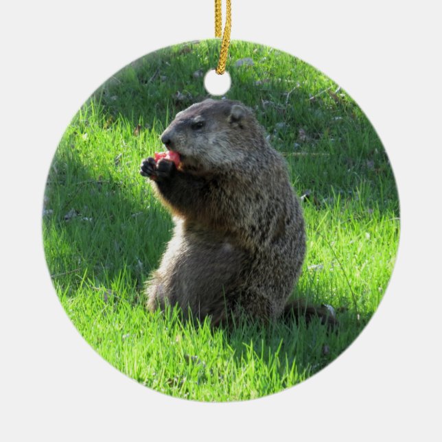 Tomato Groundhog Ceramic Ornament (Front)