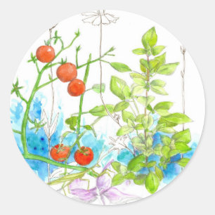 Tomato Herb Garden Vegetables Watercolor Classic Round Sticker