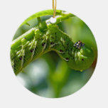 Tomato Hornworm Ceramic Ornament